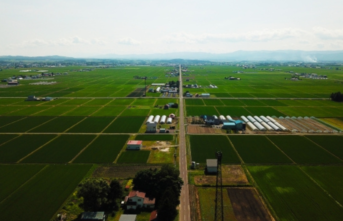 hokkaido-higashikawa